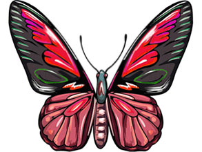 Animated butterfly clipart free