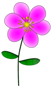 purple-flower-md.png