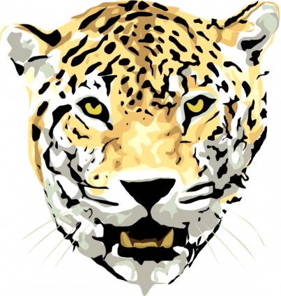 Cat Head Outline Drawing Face Cartoon Wild Jaguar Animal Jungle ...