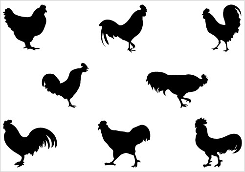 Rooster Silhouette Vector Graphics