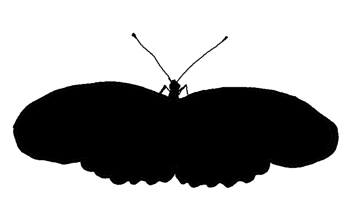butterfly silhouette clip art free - photo #31