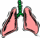 lung - definition of lung by the Free Online Dictionary, Thesaurus ...