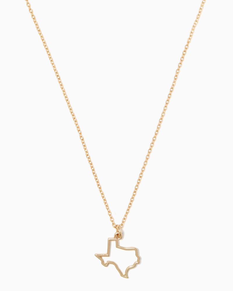 Illinois State Outline Necklace | Charming Charlie