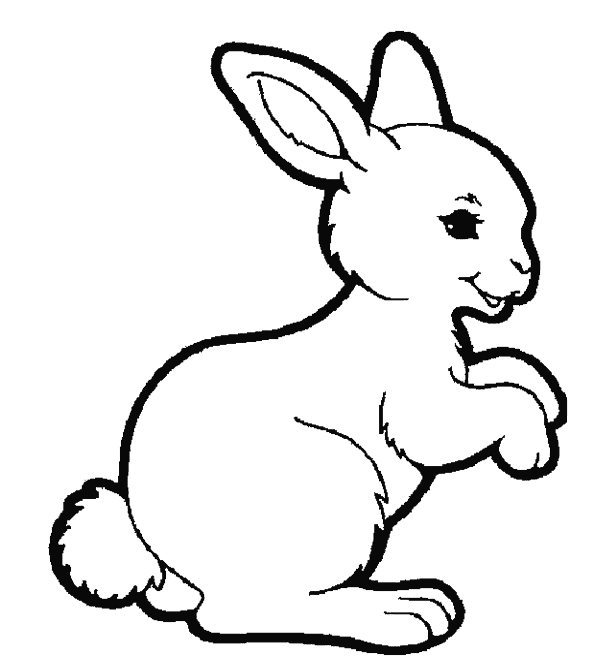 cute bunny coloring pages - High Quality Coloring Pages
