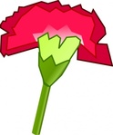 carnation_flower_clip_art_ ...