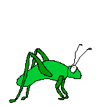 Crickets Animated Gifs ~ Gifmania