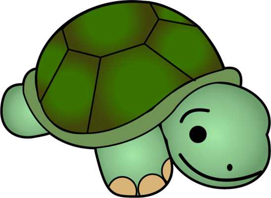 Cute Turtle Clipart