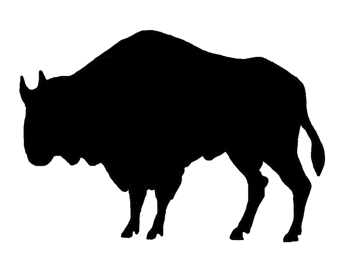 Buffalo clip art free clipart images - dbclipart.com