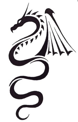 400 views 1000+ images about Dragons | Tat, Tribal dragon ...