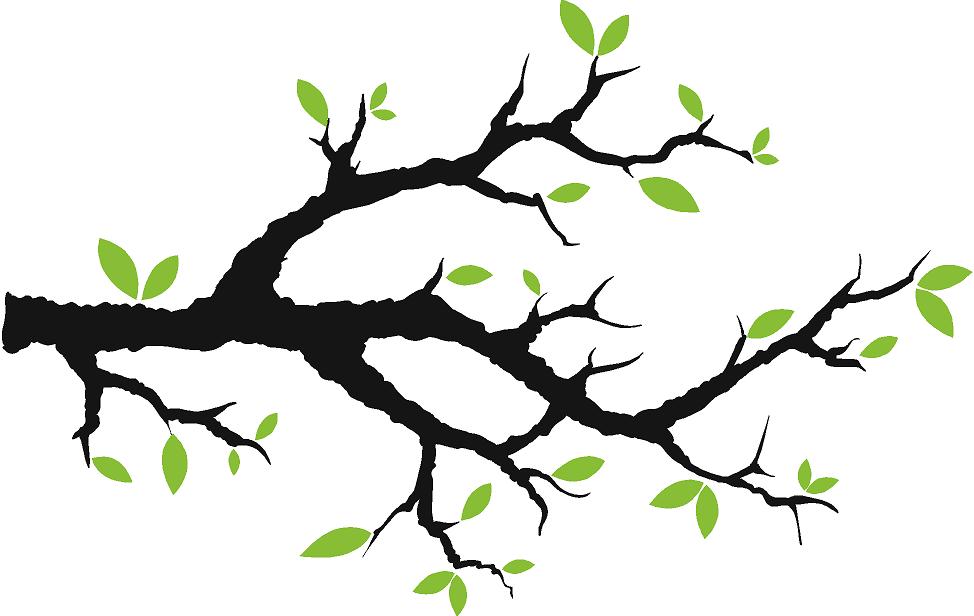 Tree branch with leaves clipart