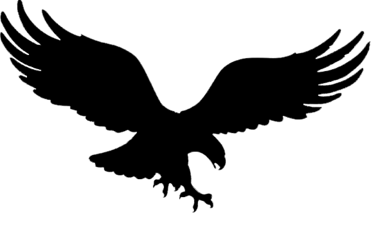 American Eagle Logo Png White 91694 | RAMWEB