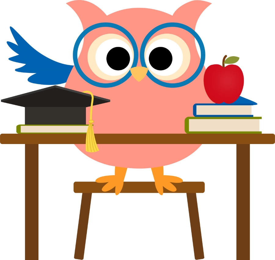 Owl education clipart