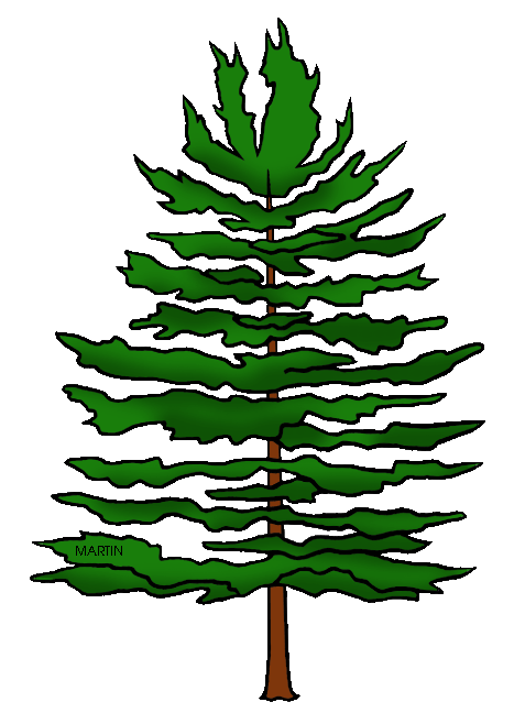 Clip Art Pine Tree - Tumundografico
