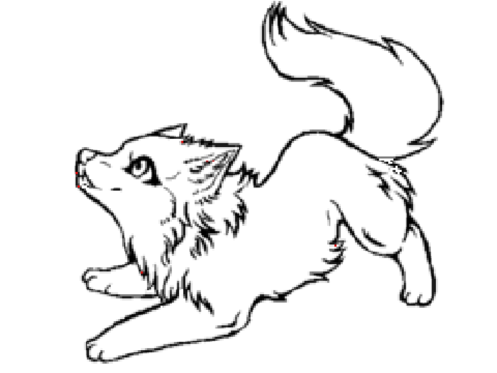 Cute Colouring Pages Baby Wolf - ClipArt Best