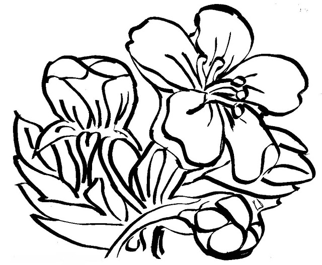 Coloring pages of flowers - Cherry blossoms ~ Coloring Pictures
