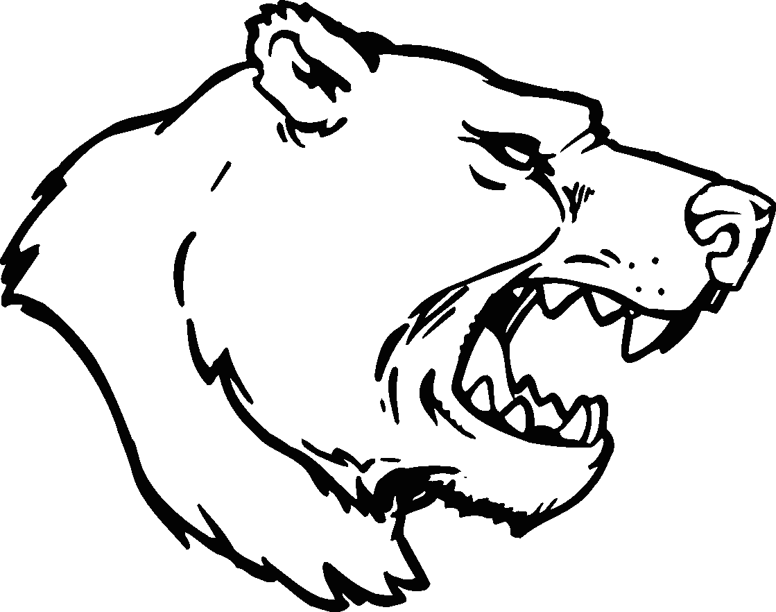 Black Bear Head Drawings 79448 | NANOZINE - ClipArt Best 