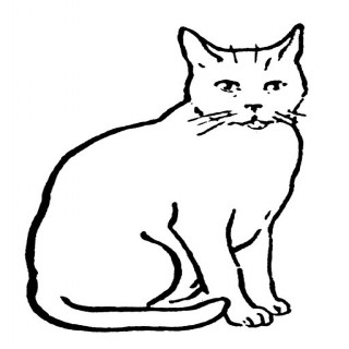 Cat Line Drawing Cat Drawings Pinterest - Litle Pups