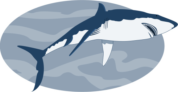 Basking Shark Clip Art, Vector Images & Illustrations