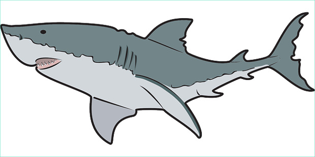 Blue shark clipart design free clipart design download ...