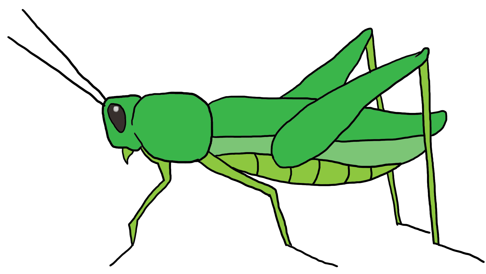 Cartoon Grasshopper
