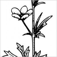 Flowers black and white free clip art Free vector for free ...