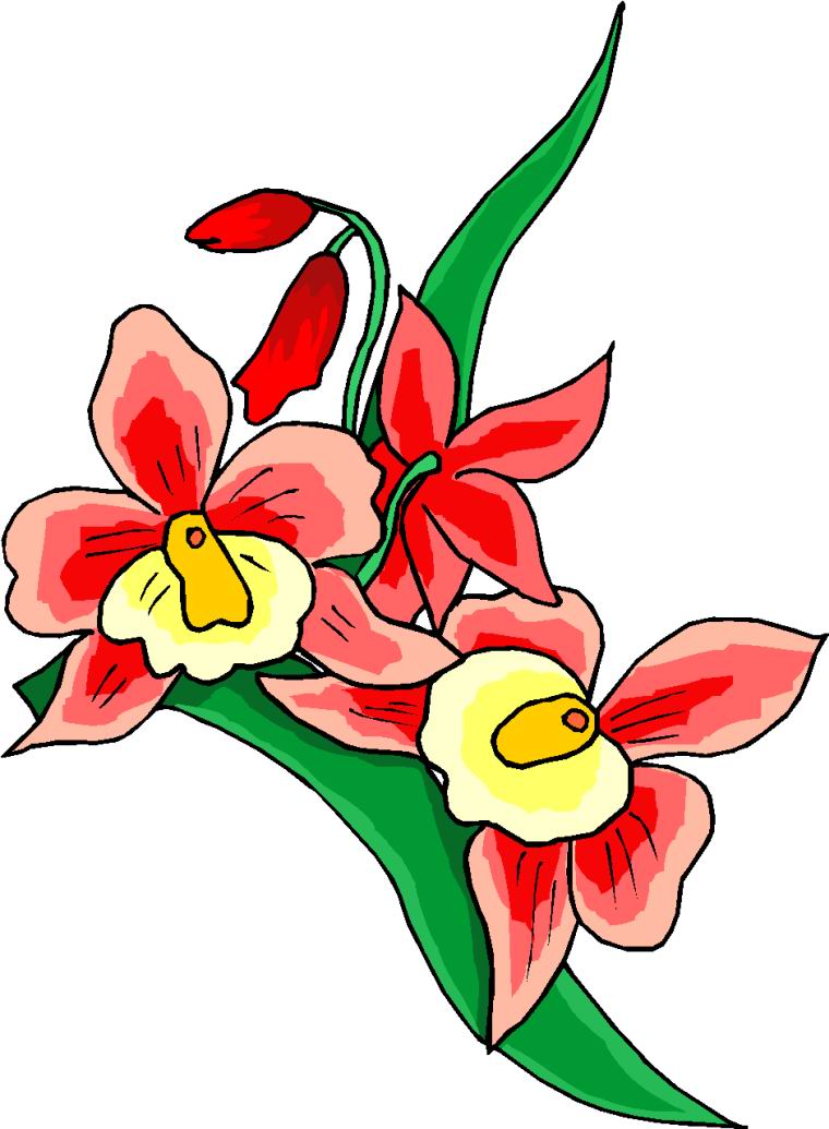 clipart cartoon flowers - photo #38