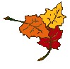 Fall and Autumn Clip Art