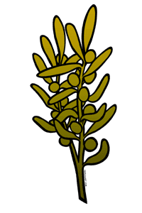 Free LDS Peace Olive Branch Clipart