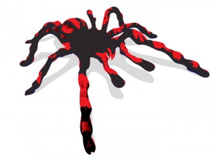Spider Vector-vector Animal-free Vector Free Download
