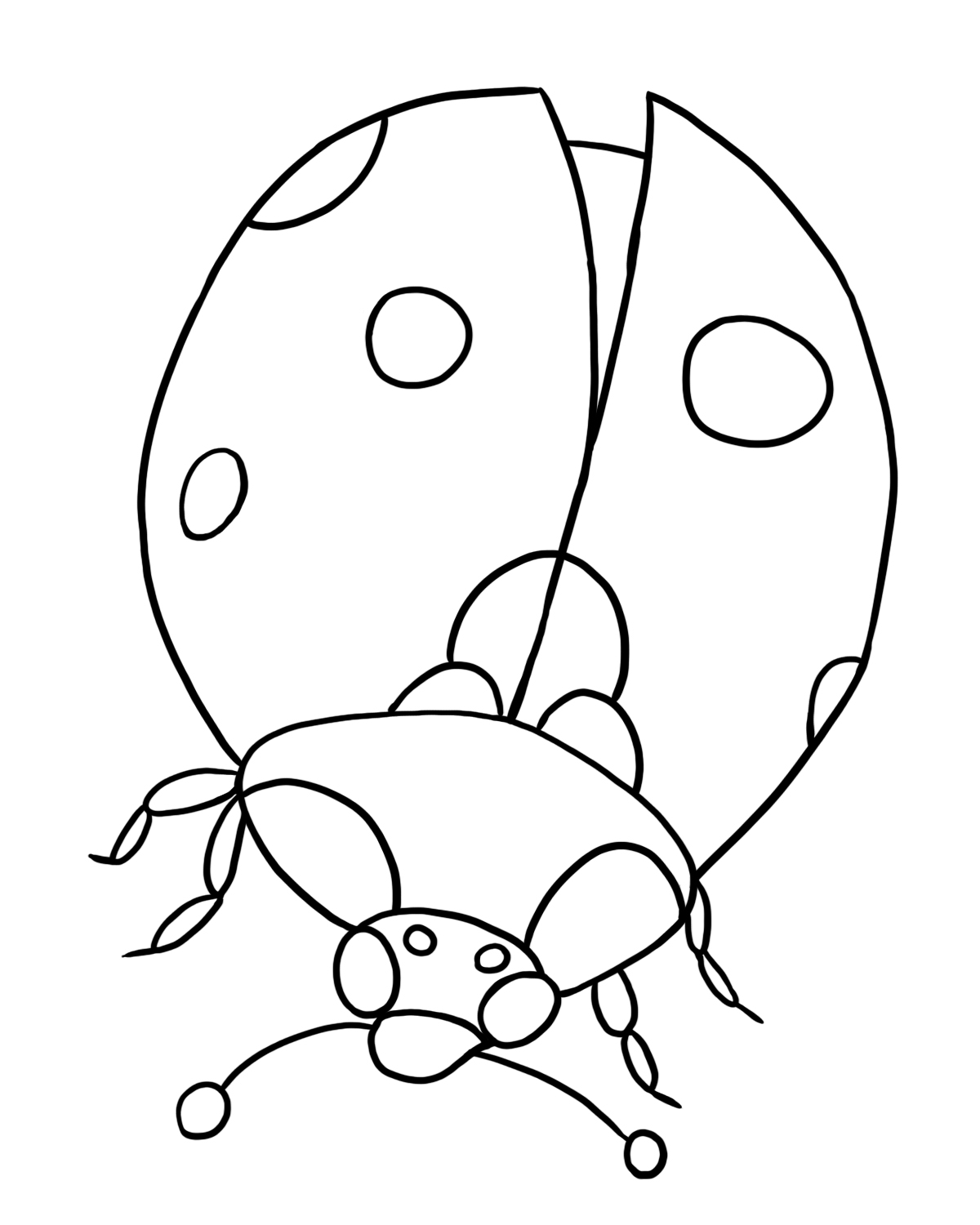 Ladybird Line Drawings - ClipArt Best