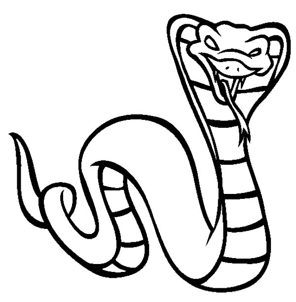coloring pages draw a snake king cobra coloring sheet king cobra ...