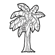 Top 25 Tree Coloring Pages For Your Little Ones