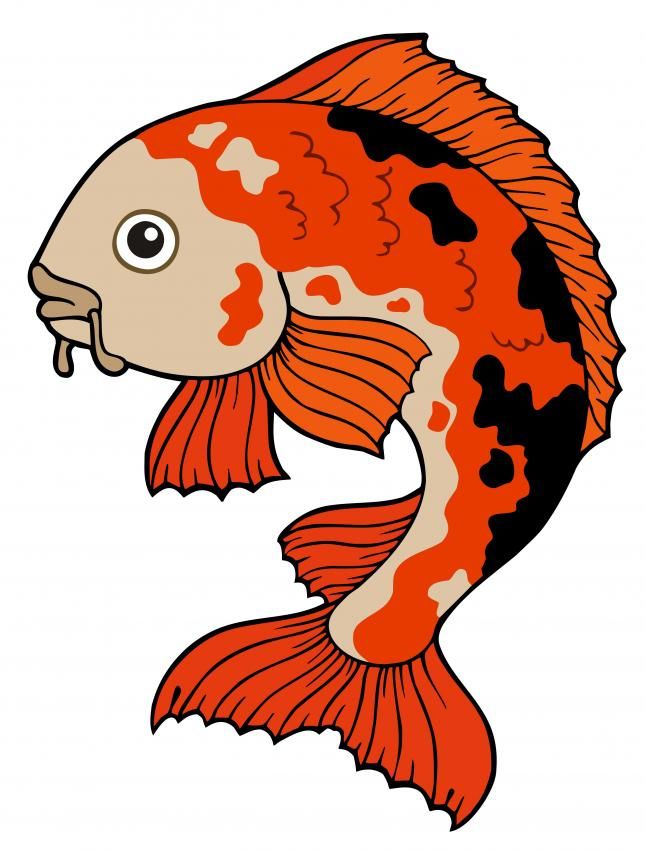 clip art koi fish - photo #42