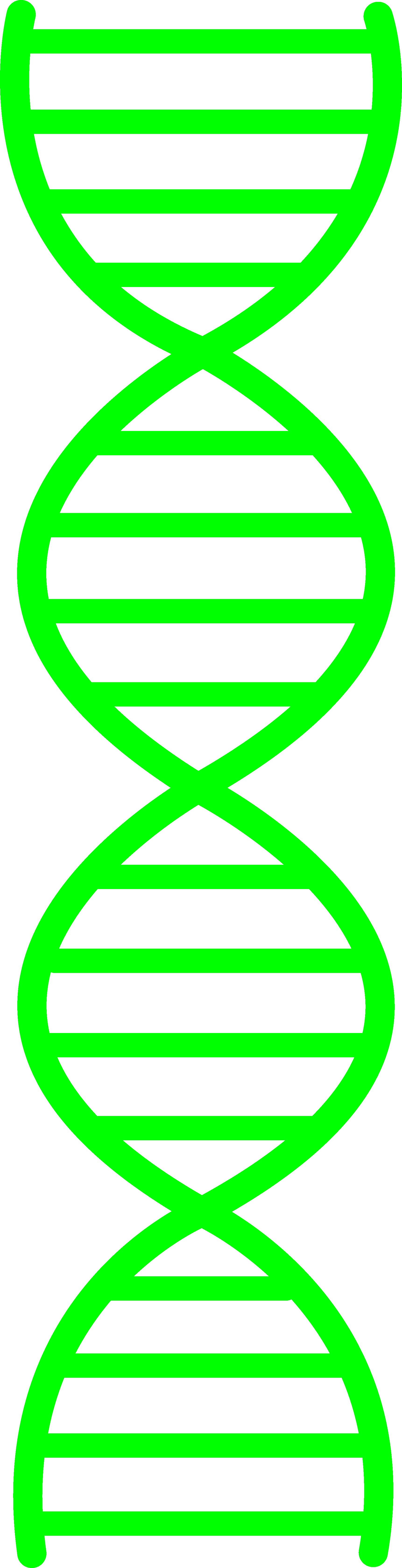 Double Helix Clip Art