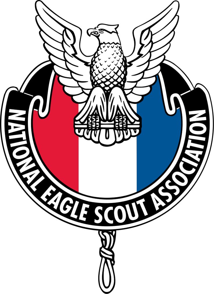 1000+ images about Eagle Scout COH | Eagle scout cake ...