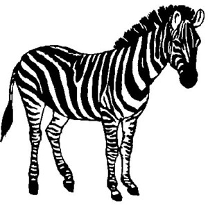 African animal clipart