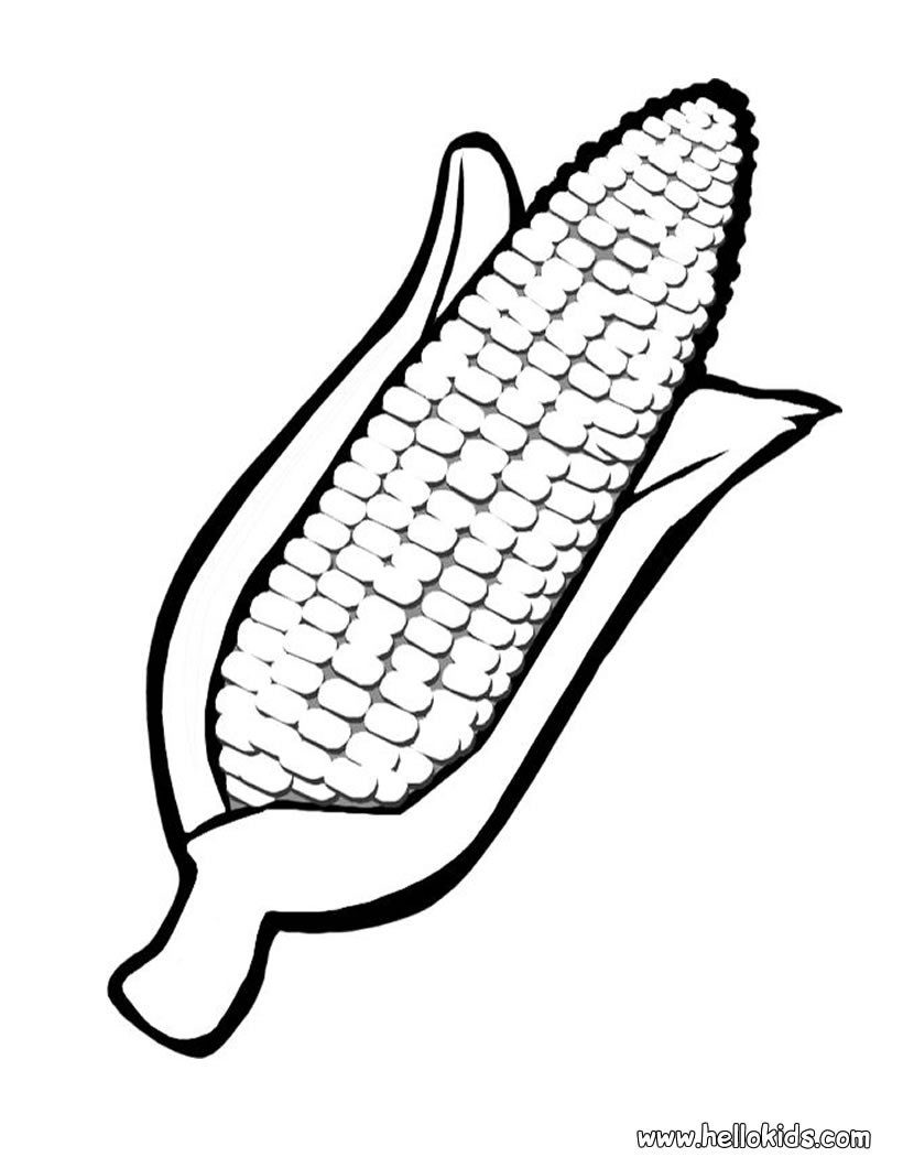 Green Husks Indian Corn Art Print Up A Picture Of An Ear Of Corn ...