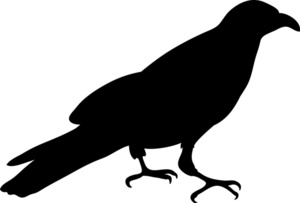 Crow Clipart - Tumundografico