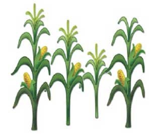Clipart corn stalk