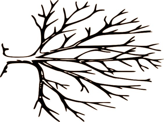 Tree clipart with branches