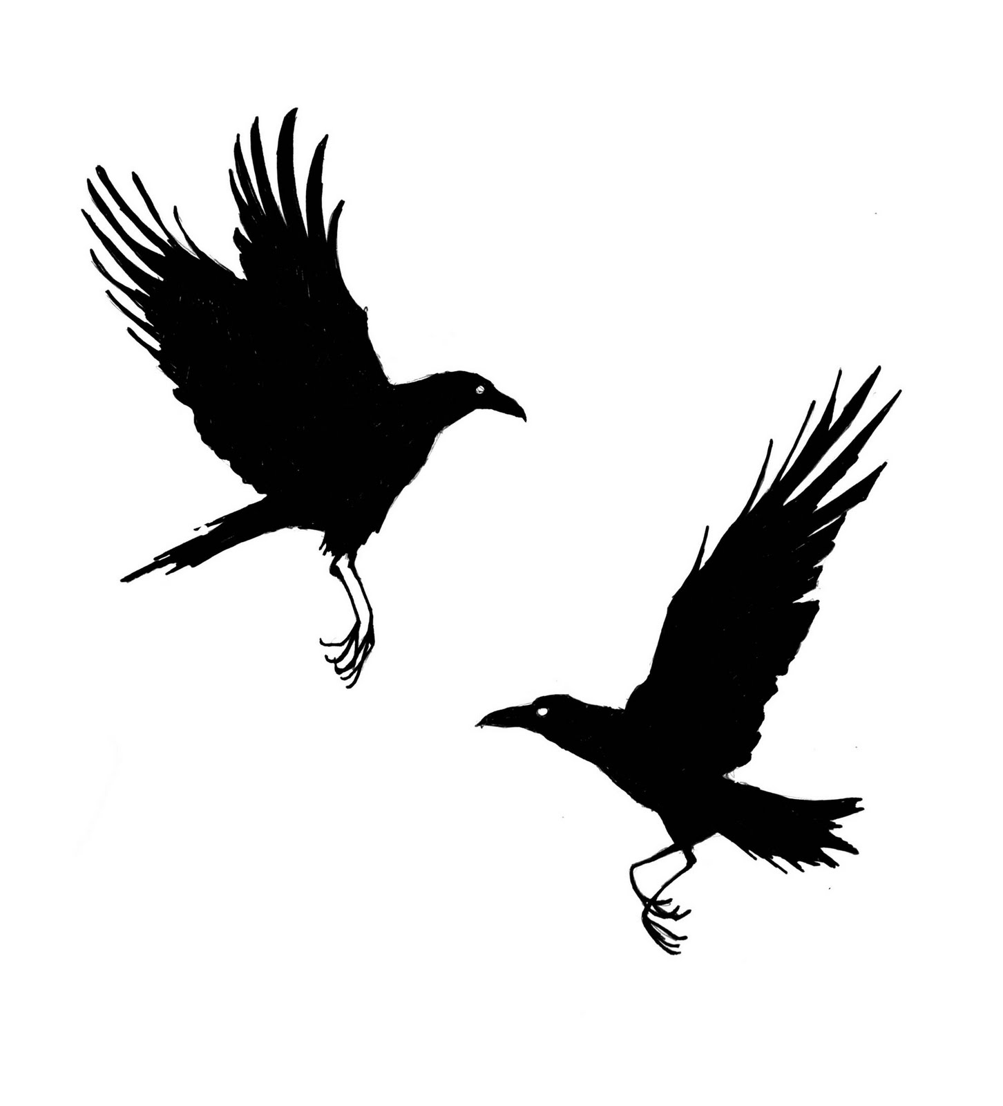 Crow Drawings - ClipArt Best