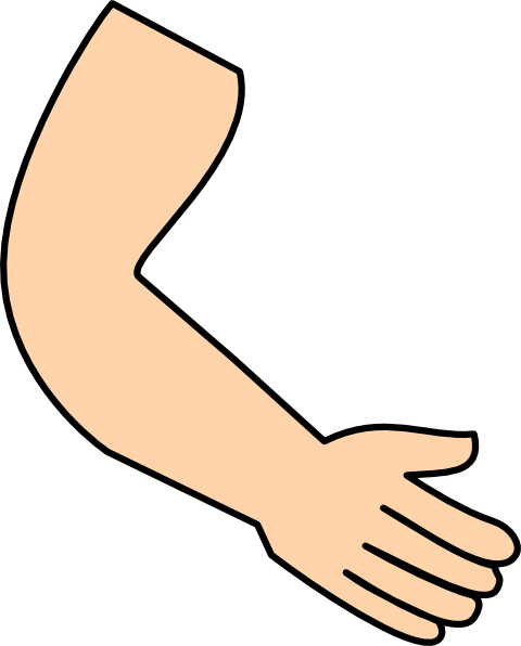 Cartoon Muscle Arm Clipart