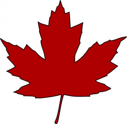 Maple leaf clipart outline