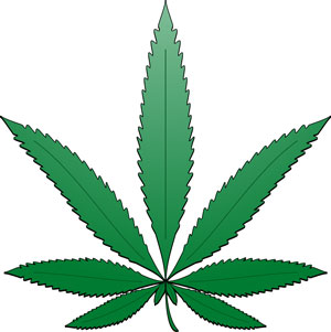 cannabis-leaf-cartoon-i0.jpg