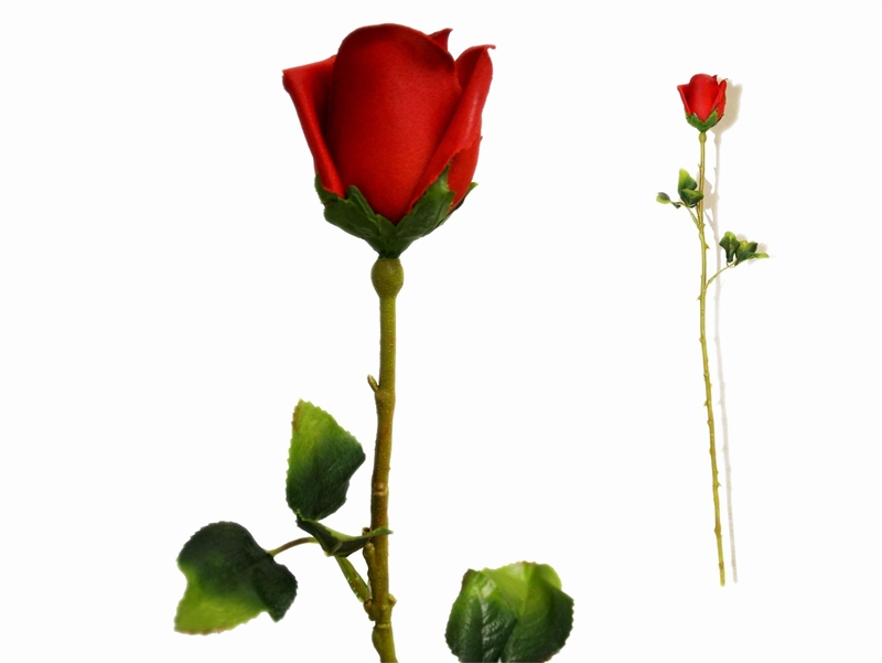 clipart long stem roses - photo #15