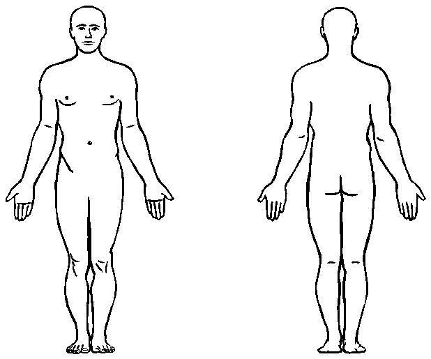 Outline of human body clipart