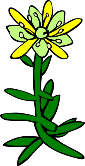 Snowdrop Flower Tattoo Clipart - Free to use Clip Art Resource