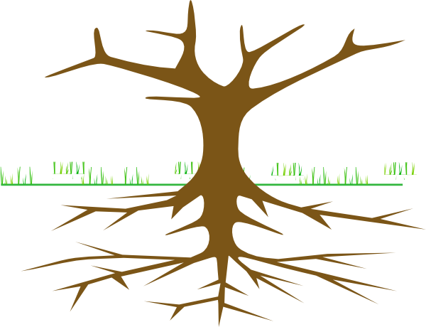 Tree With No Leaves Clipart