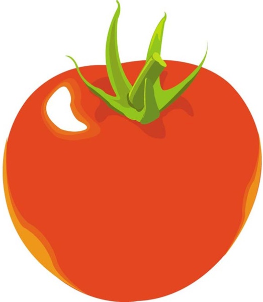 tomato plant clip art - photo #48