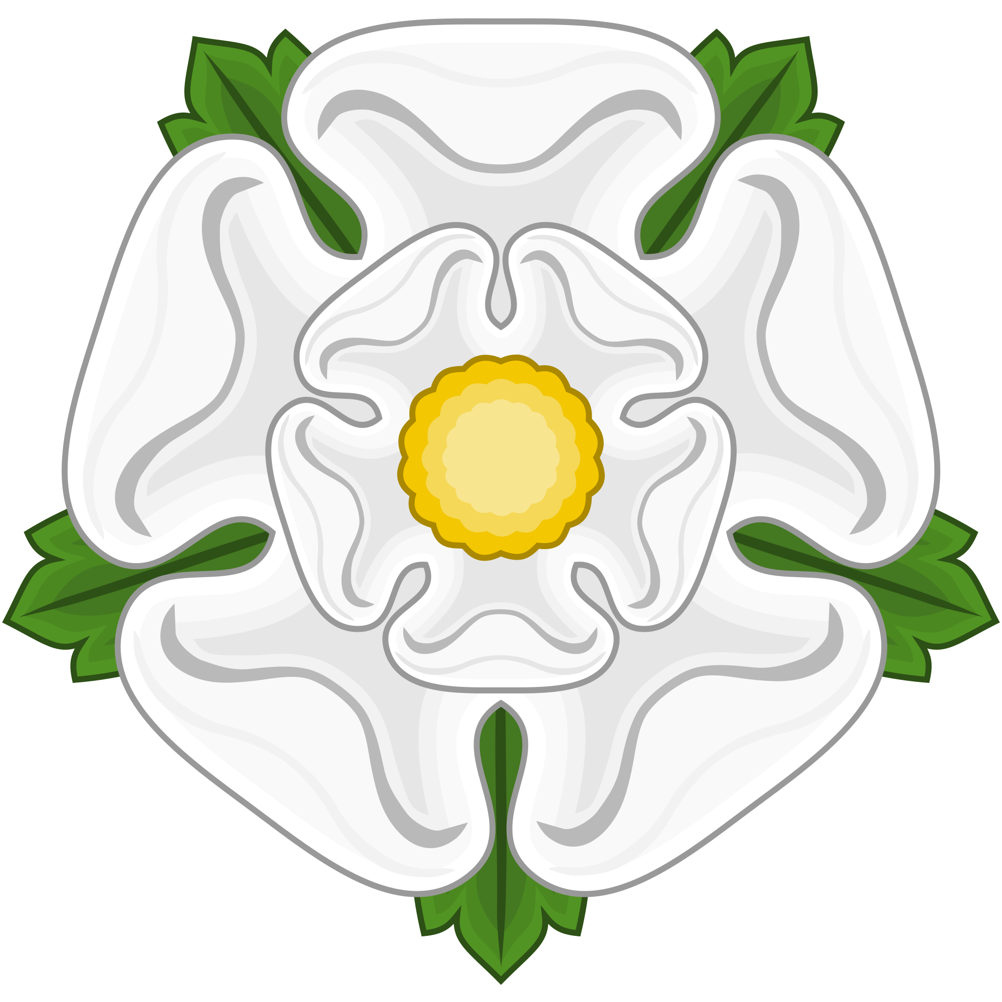 White Tudor Rose - ClipArt Best